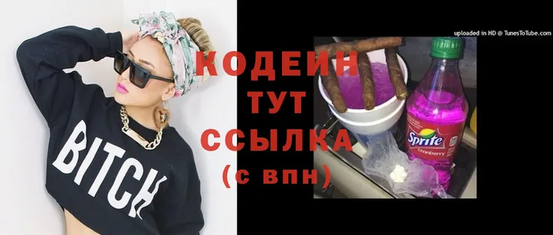 blacksprut вход  продажа наркотиков  Елизово  Кодеиновый сироп Lean Purple Drank 